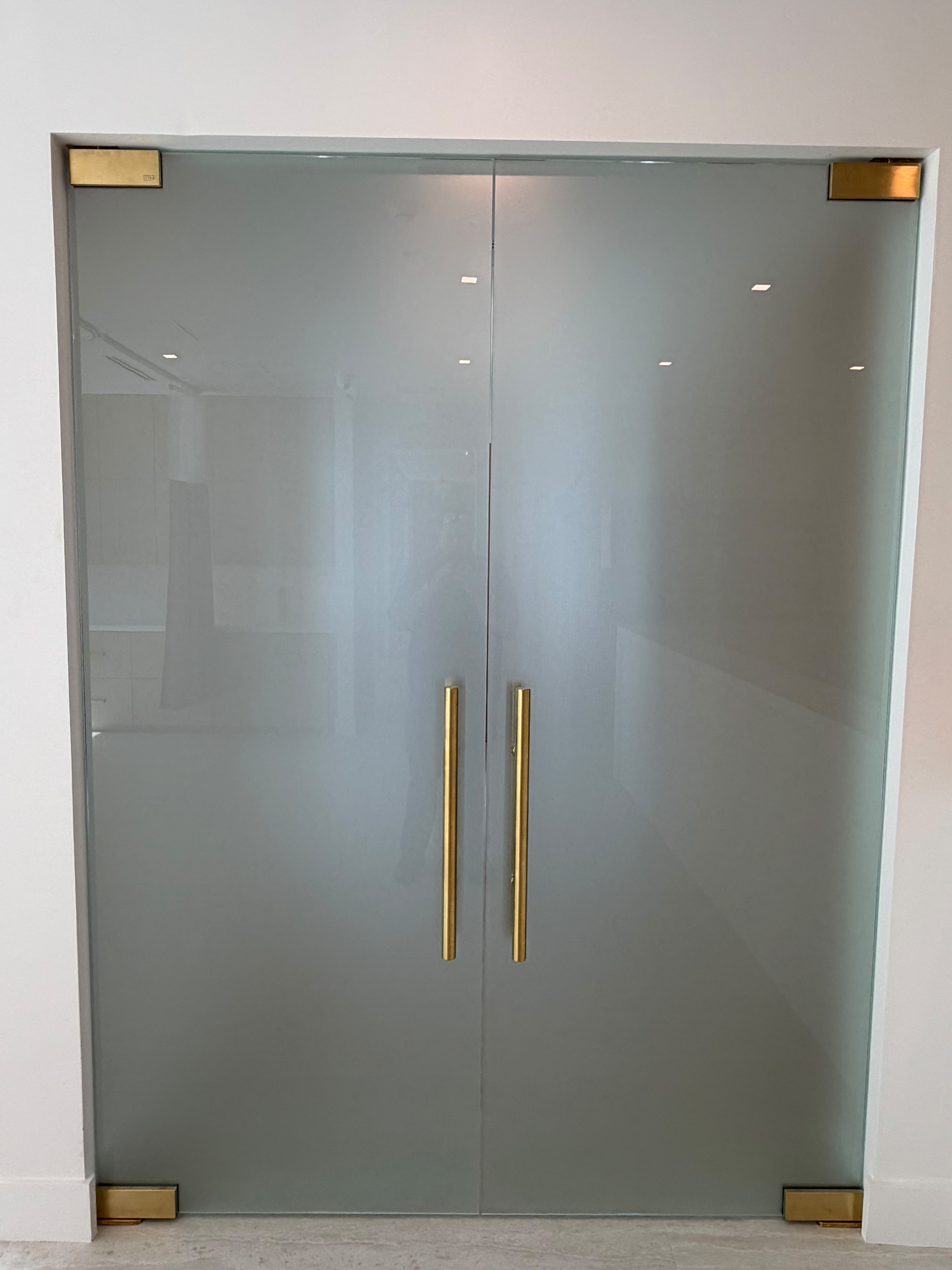 Custom glass doctor's office doors commercial interior